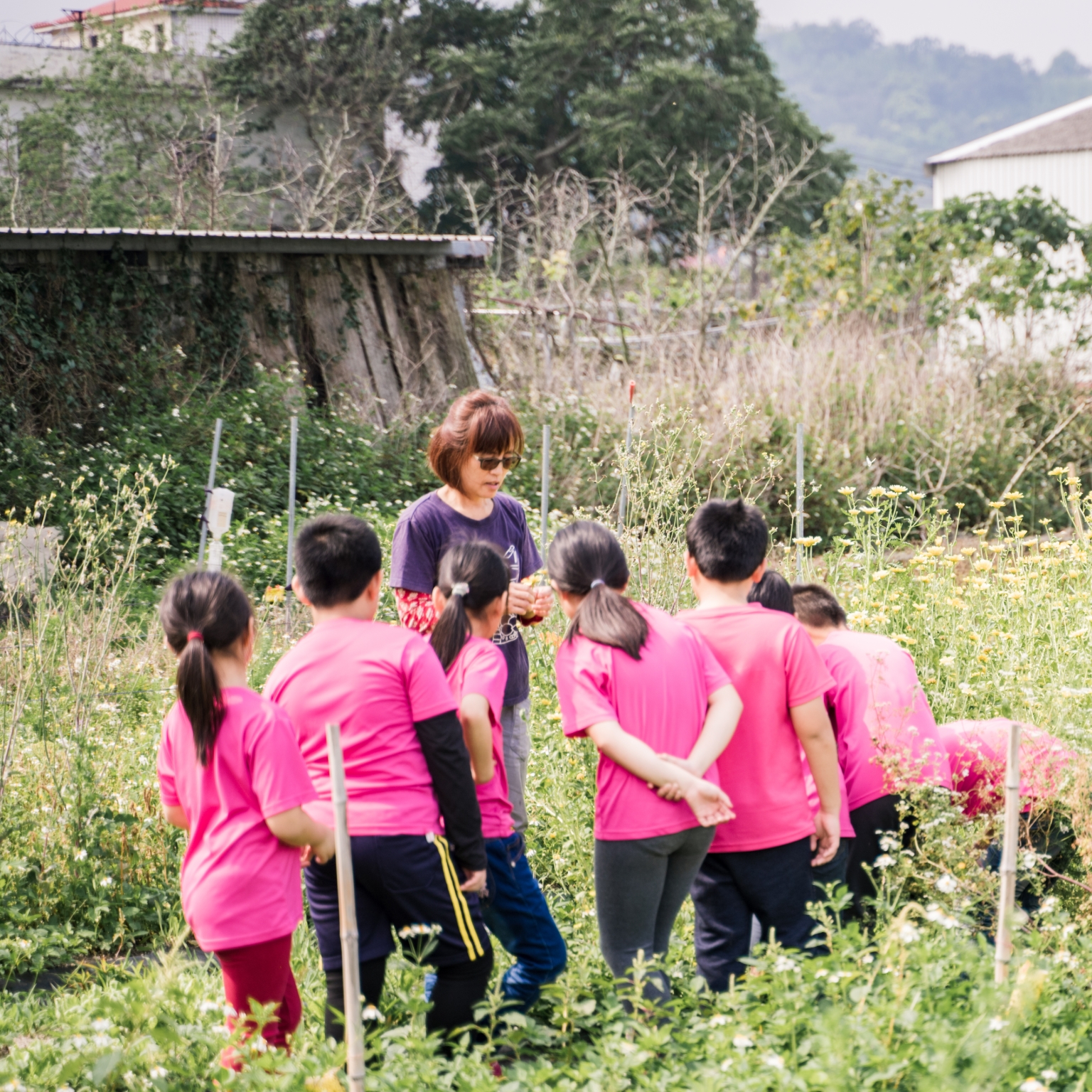 神農圖計畫示意圖